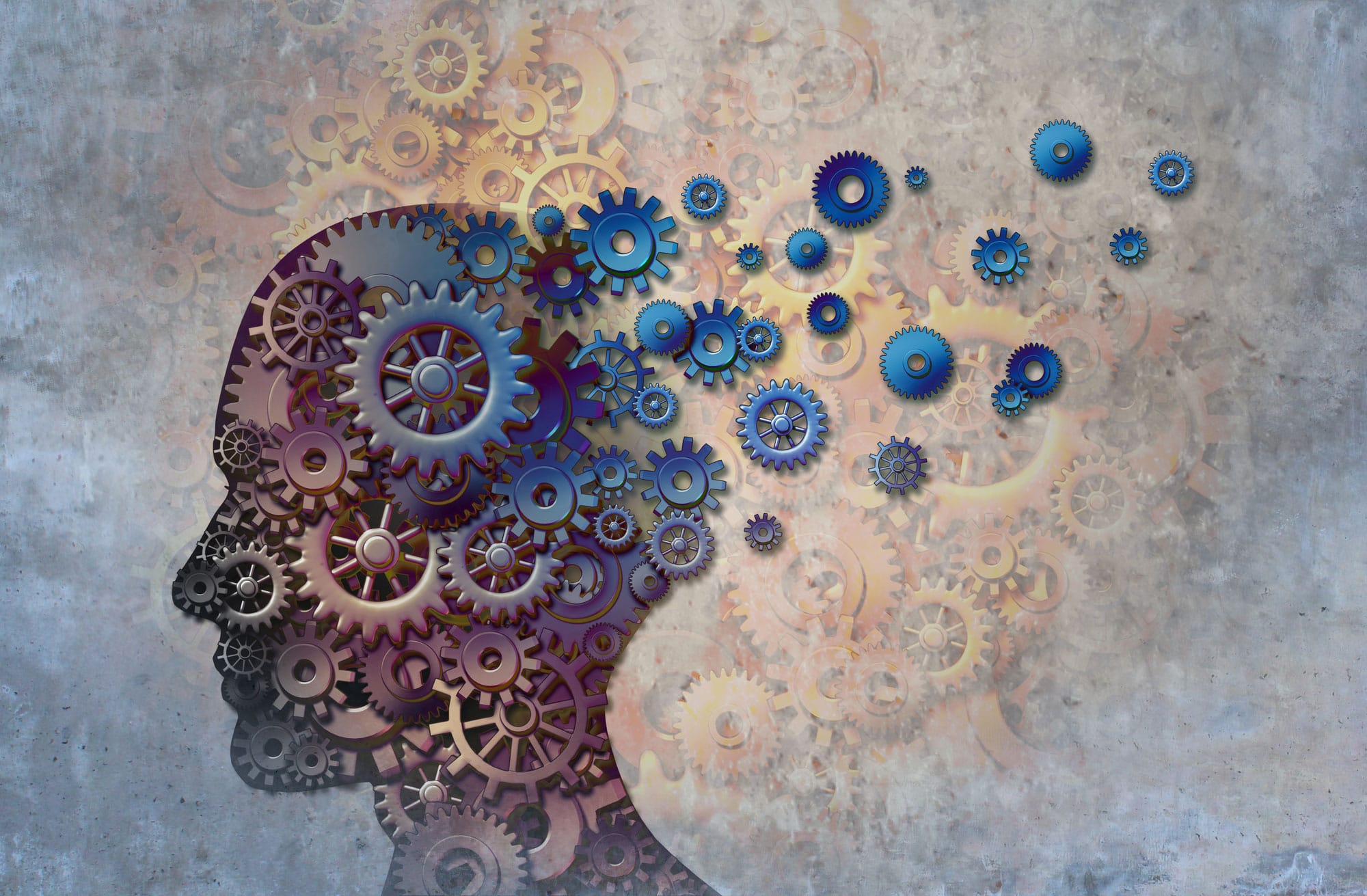 Brain cogs